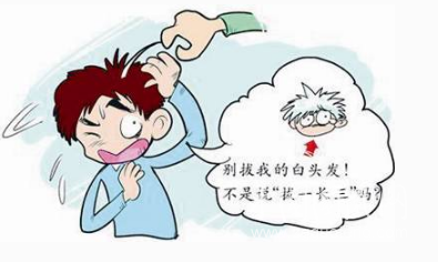 白頭真的是發(fā)拔一根，長三根嗎