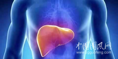 肝毒的頭號(hào)殺手