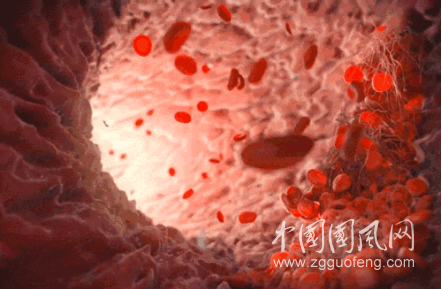 天然的“血管清道夫”，軟化血管降三高