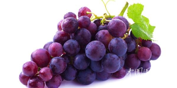 什么時(shí)候吃葡萄最好？可惜很多人都吃錯(cuò)了