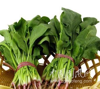 菠菜根煮水藥用功效翻倍，可惜很少人知道