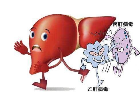 七月勞累易肝病，常吃此物，保肝護肝，清涼美白