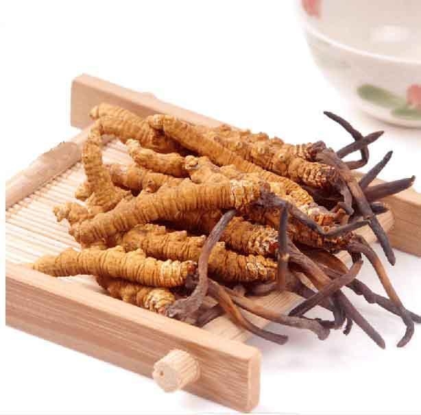 這些人不適合秋冬進補冬蟲夏草，要注意了