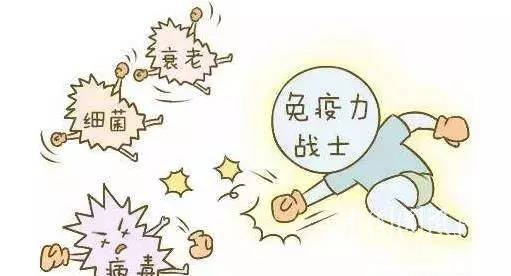 六種原因易致免疫力低下 提高免疫力試試七方法