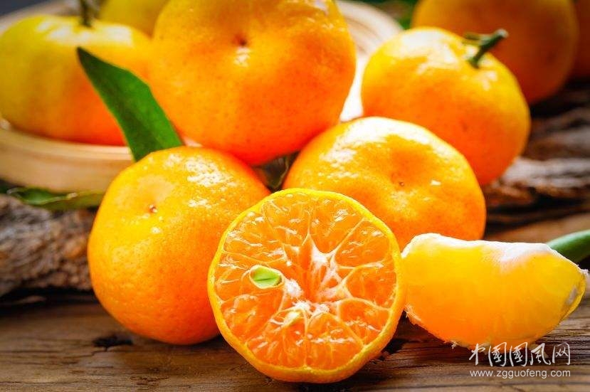橘子一天可以吃幾個？橘子吃多了有什么壞處和危害？