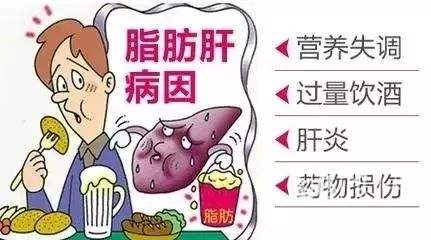產(chǎn)生脂肪肝的原因