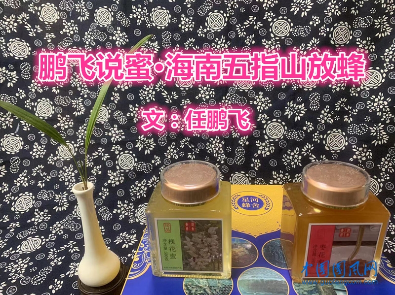【鵬飛說蜜】海南五指山放蜂