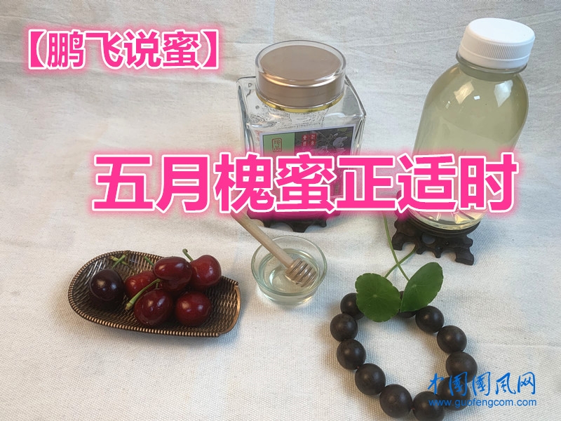  【鵬飛說(shuō)蜜】五月槐蜜正適時(shí)