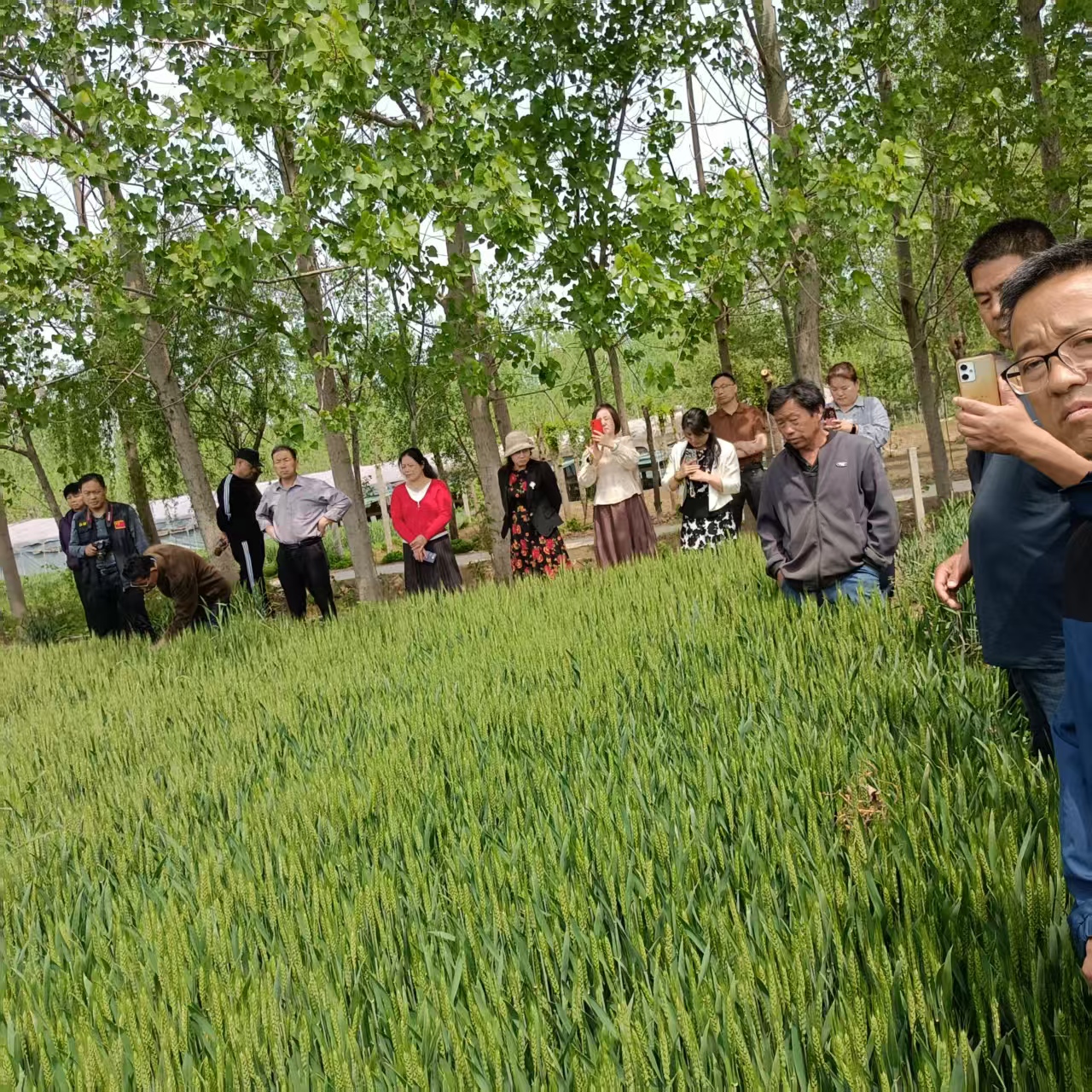 微信圖片_20250507121101.jpg