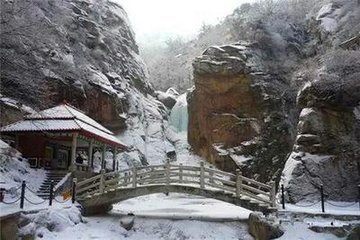 初冬的嶗山，鯡魚罐頭久違的朋友