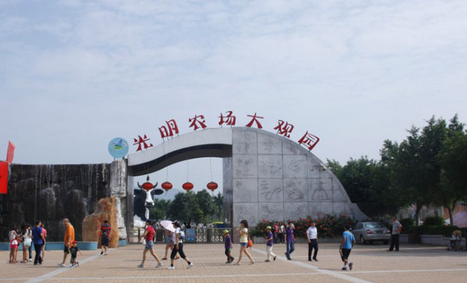深圳最受歡迎的農場