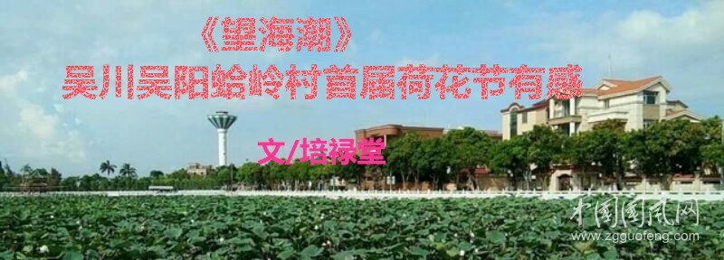  《望海潮》   吳川吳陽蛤嶺村首屆荷花節(jié)有感（文/培祿堂）