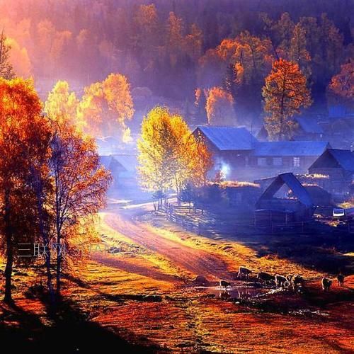 中國最大的紅葉觀賞區(qū)