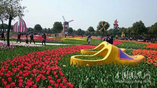 春分剛過中國多地迎來賞花高峰