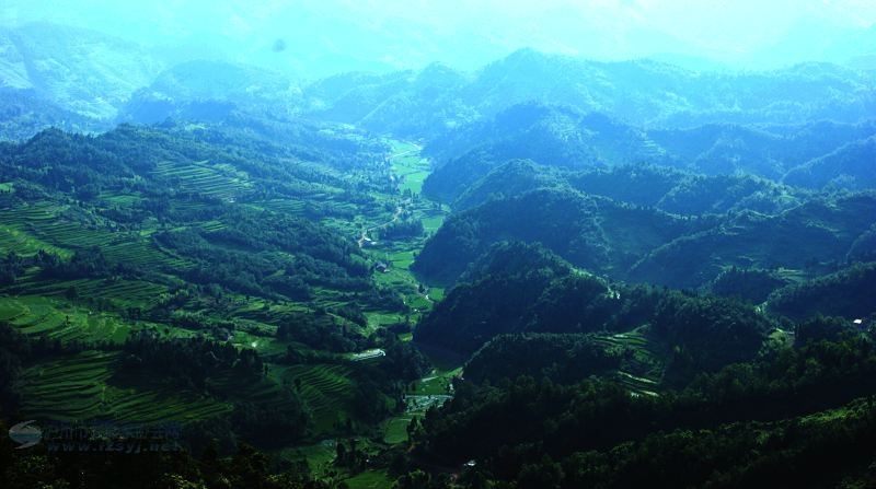 黃荊老林避暑圣地