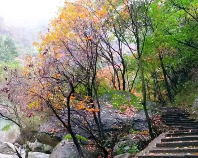 嵩縣最美的地方景色驚艷全國