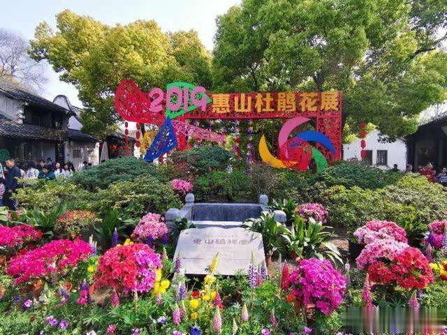 無(wú)錫惠山古鎮(zhèn)杜鵑花節(jié)