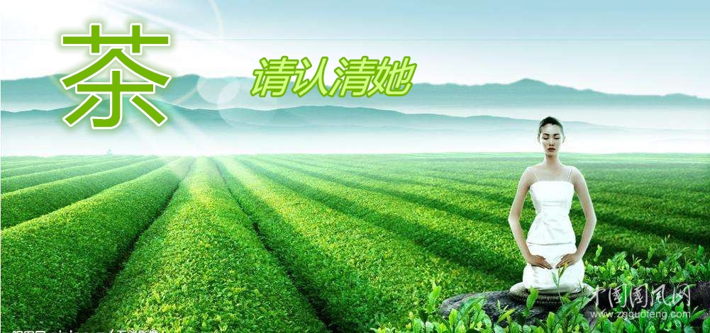 茶_副本.jpg