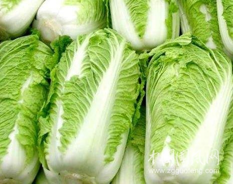 白菜是個百搭營養(yǎng)菜