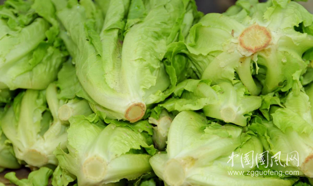 生菜葉片 脆薄為佳