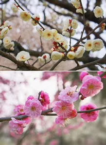 微信圖片_20190326090916.jpg