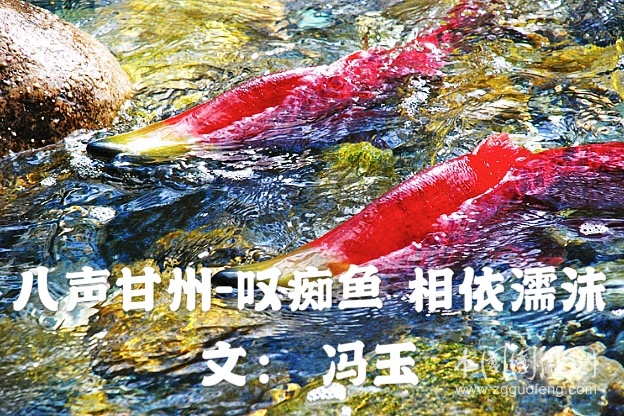 馮玉3微信圖片_20191118191625.jpg