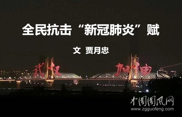 timg (11)_副本.jpg