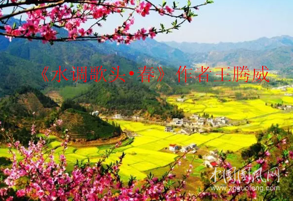 微信圖片_20200320140753_副本.png