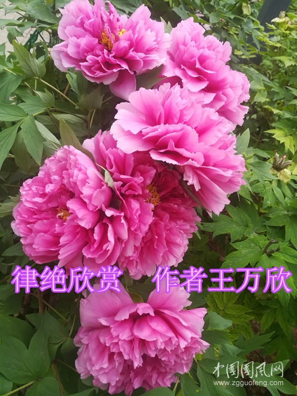 微信圖片_20200328151628_副本_副本.jpg