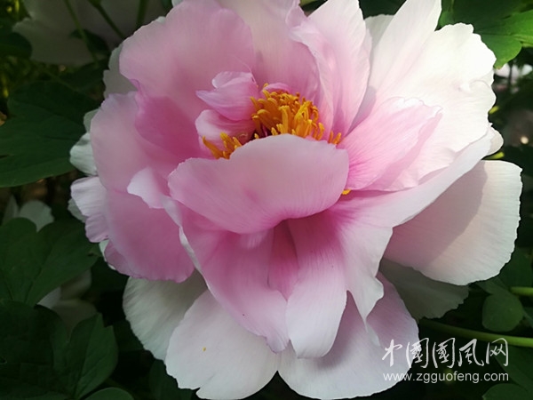 微信圖片_20200328151654_副本.jpg