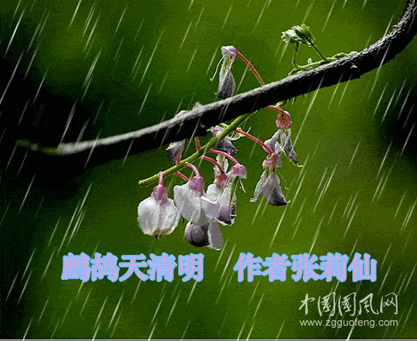 微信圖片_20200408145031_副本.png