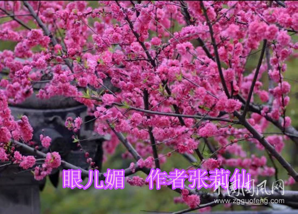 微信圖片_20200408144058_副本.png
