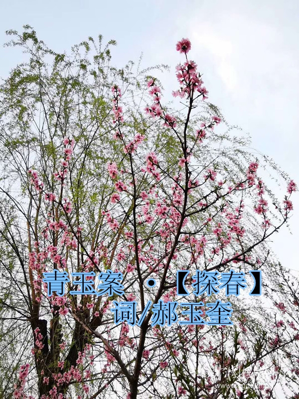微信圖片_20200414130734_副本.jpg