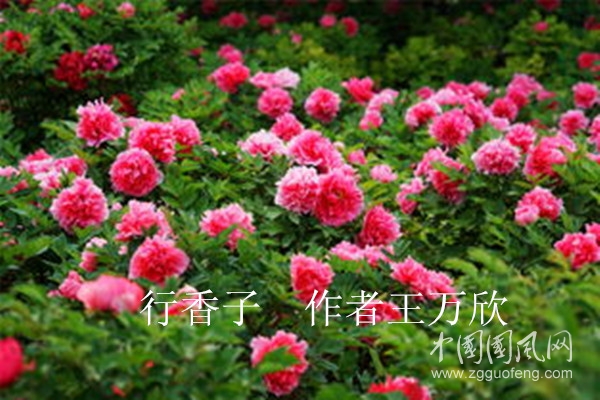 微信圖片_20200420210234_副本.jpg