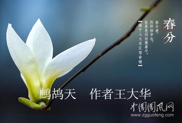微信圖片_20200421134854_副本.png