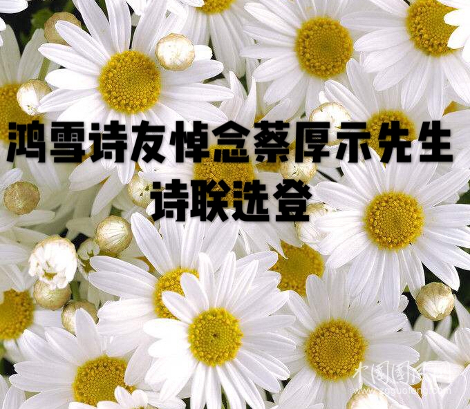 微信圖片_20190227131404.jpg