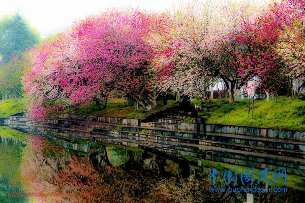 src=http___img.pconline.com.cn_images_upload_upc_tx_photoblog_1303_24_c3_19184999_19184999_1364095844281.jpg&refer=http___img.pconline.com.jpg