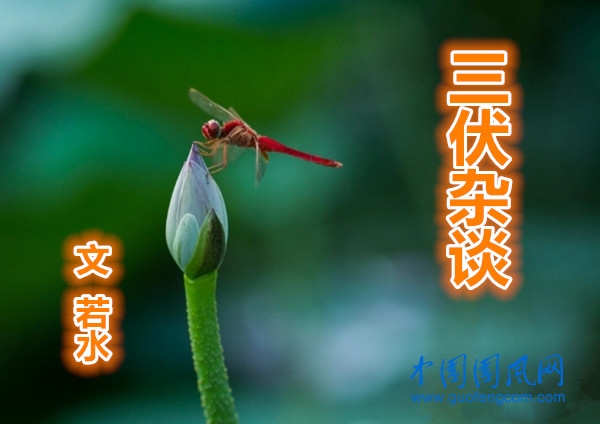 三伏雜談（文  若水）