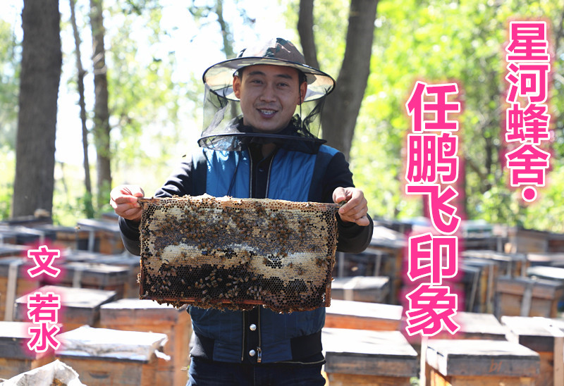  星河蜂舍·任鵬飛印象