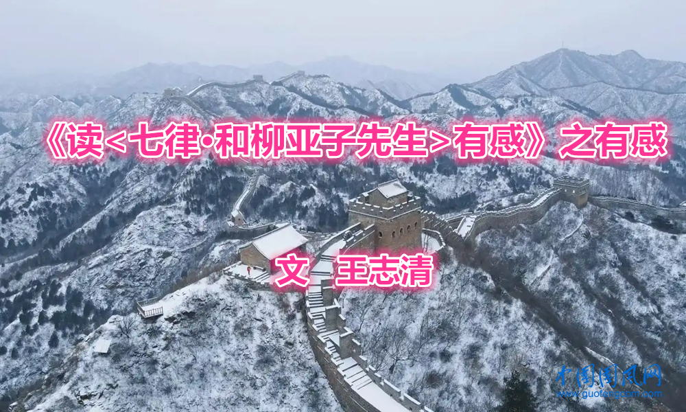 《讀<七律·和柳亞子先生>有感》之有感【文 王志清】