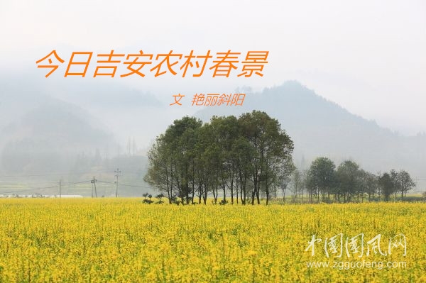 農(nóng)村.jpg