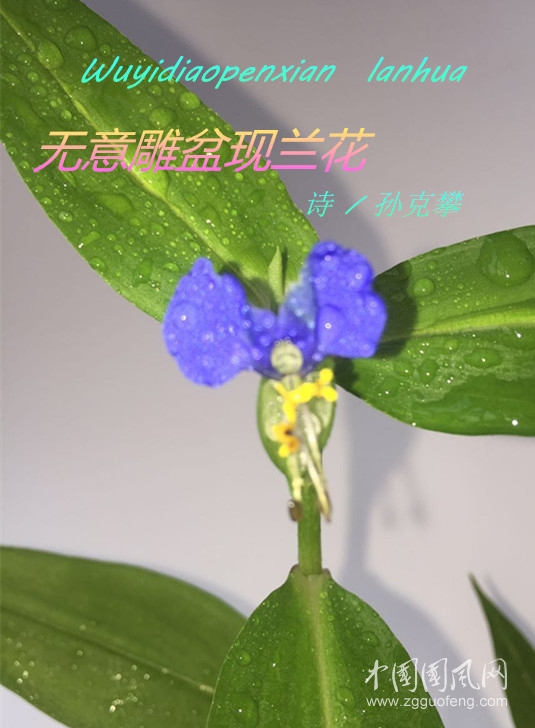 微信圖片_20170524082447_副本.jpg