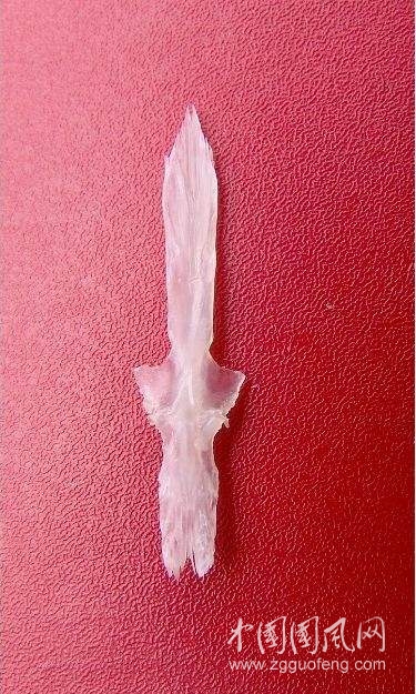timg (1).jpg