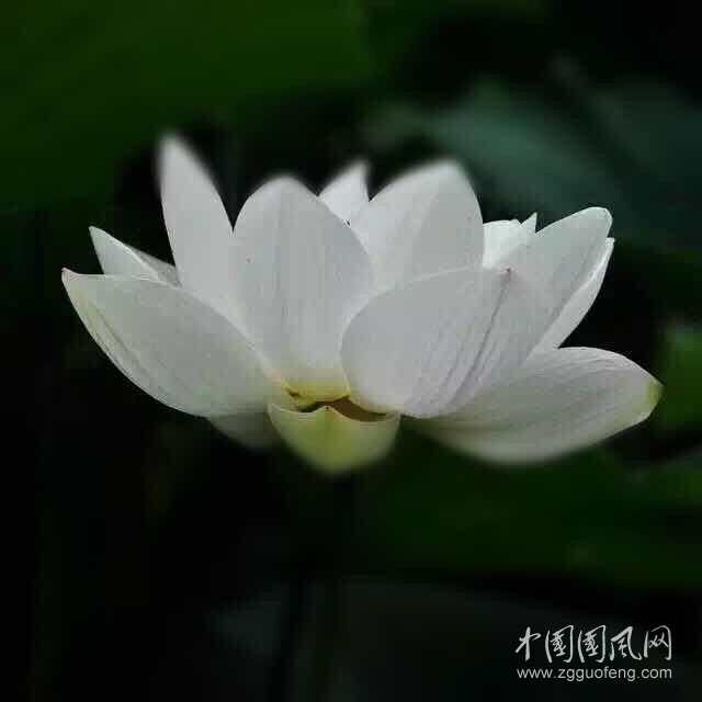 QQ圖片20180324211931.jpg
