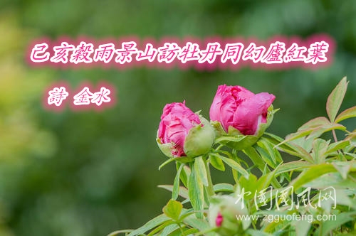 u=2001617813,325911703&fm=11&gp=0.jpg