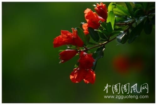微信圖片_20190813085620.jpg