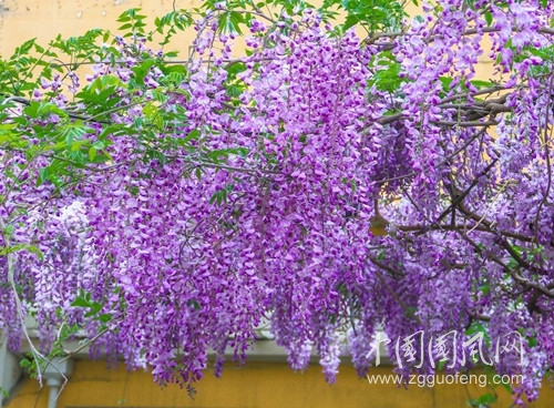 timg (3).jpg