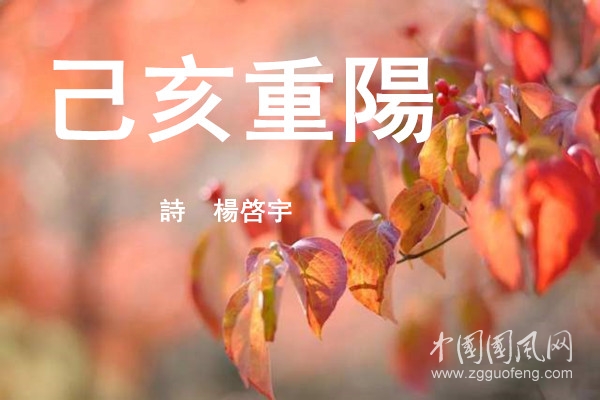 timg (6)_副本.jpg