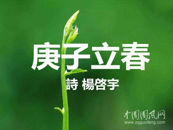 timg (5)_副本.jpg