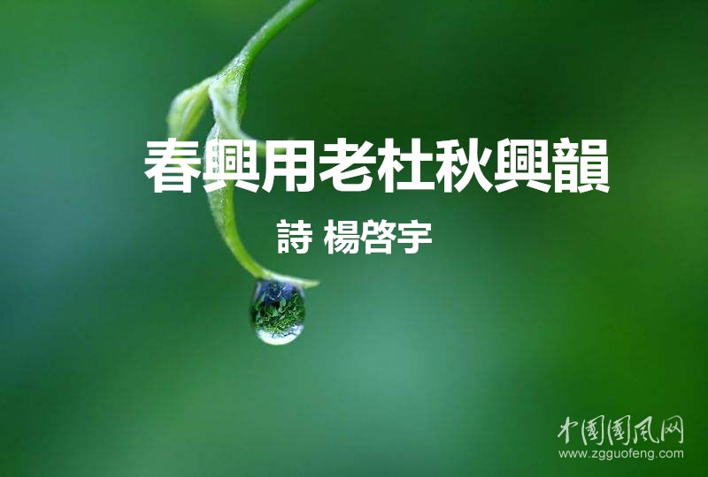 timg (6)_副本.jpg
